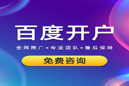 SEM竞价推广案例：打造行业领先的广告投放策略