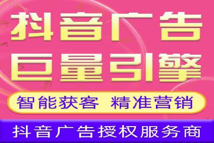 SEM广告投放案例：提升网站流量与转化
